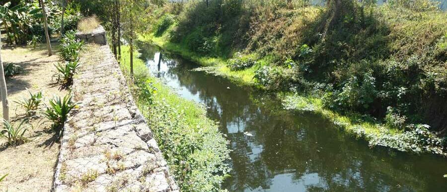 Canal Nacional parque lineal estado actual