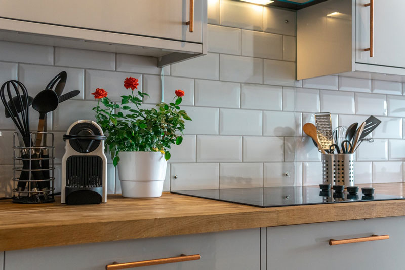 cocina con plantas minimalista